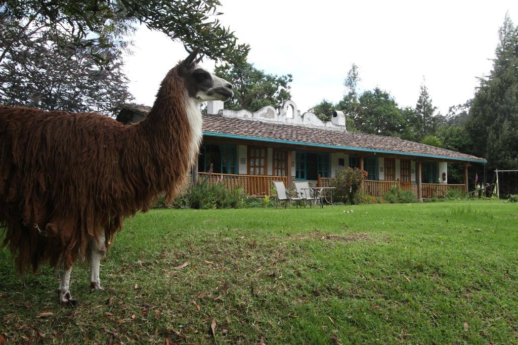 Las Palmeras Inn Отавало Екстер'єр фото