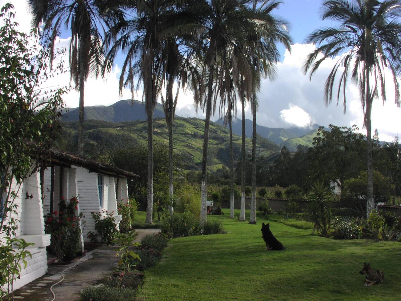 Las Palmeras Inn Отавало Екстер'єр фото
